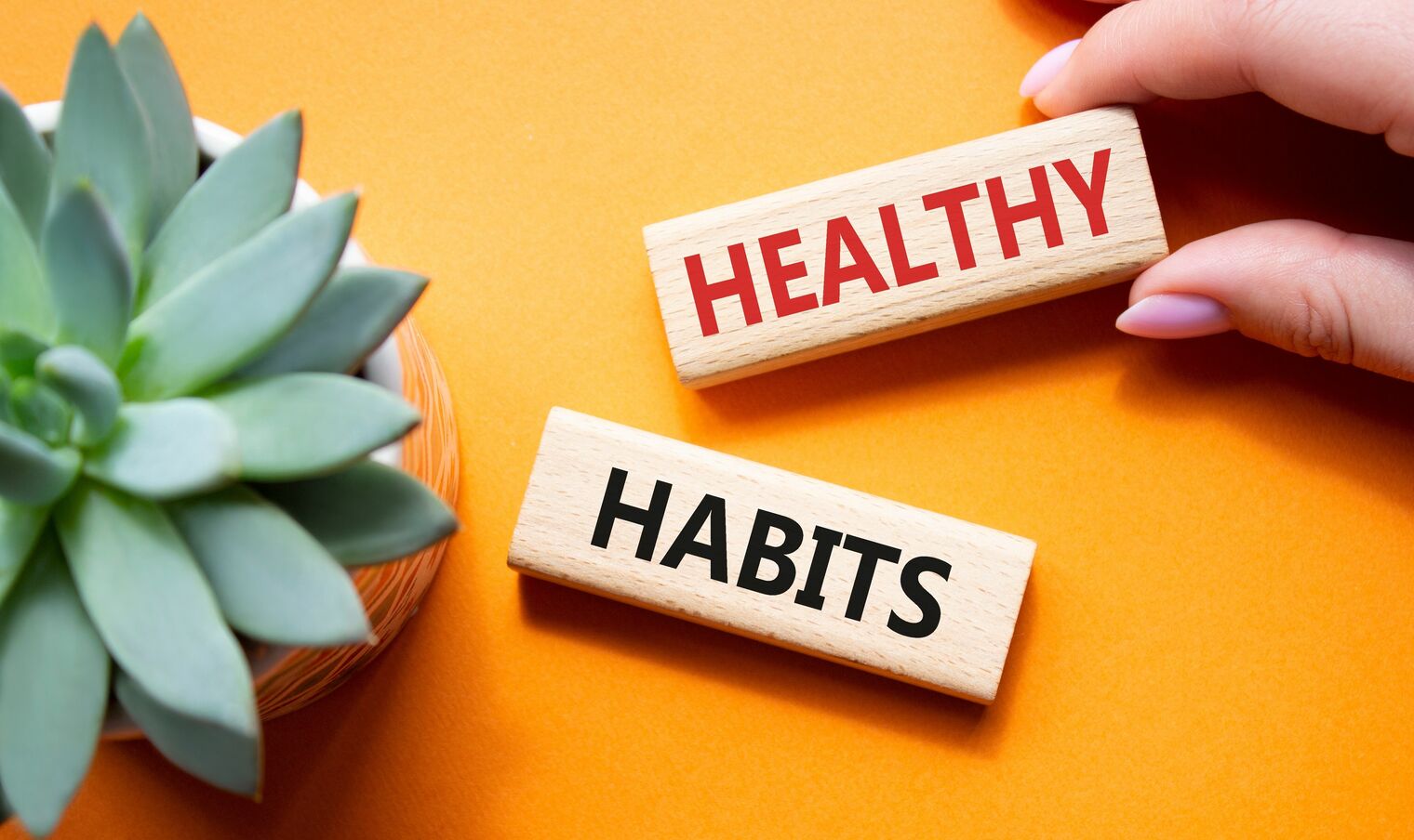 Succulent next to hand placing blocks on a table that reads healthy habits