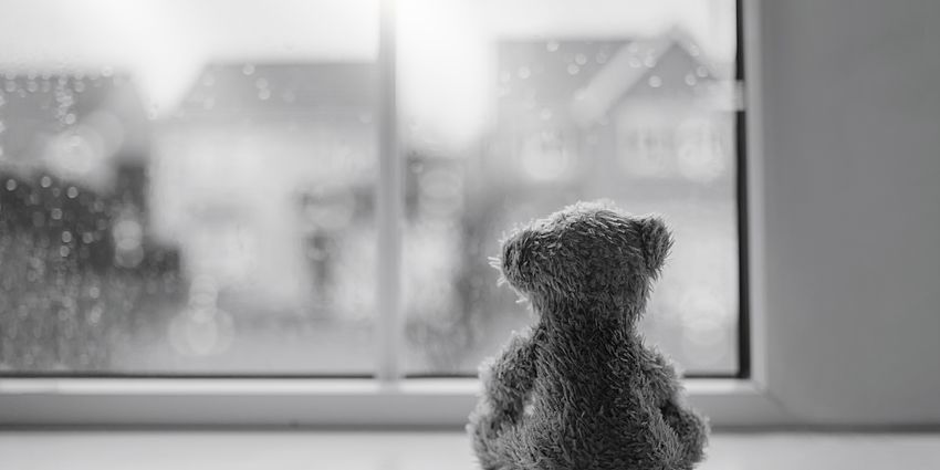 gray photo of back of teddy bear facing window