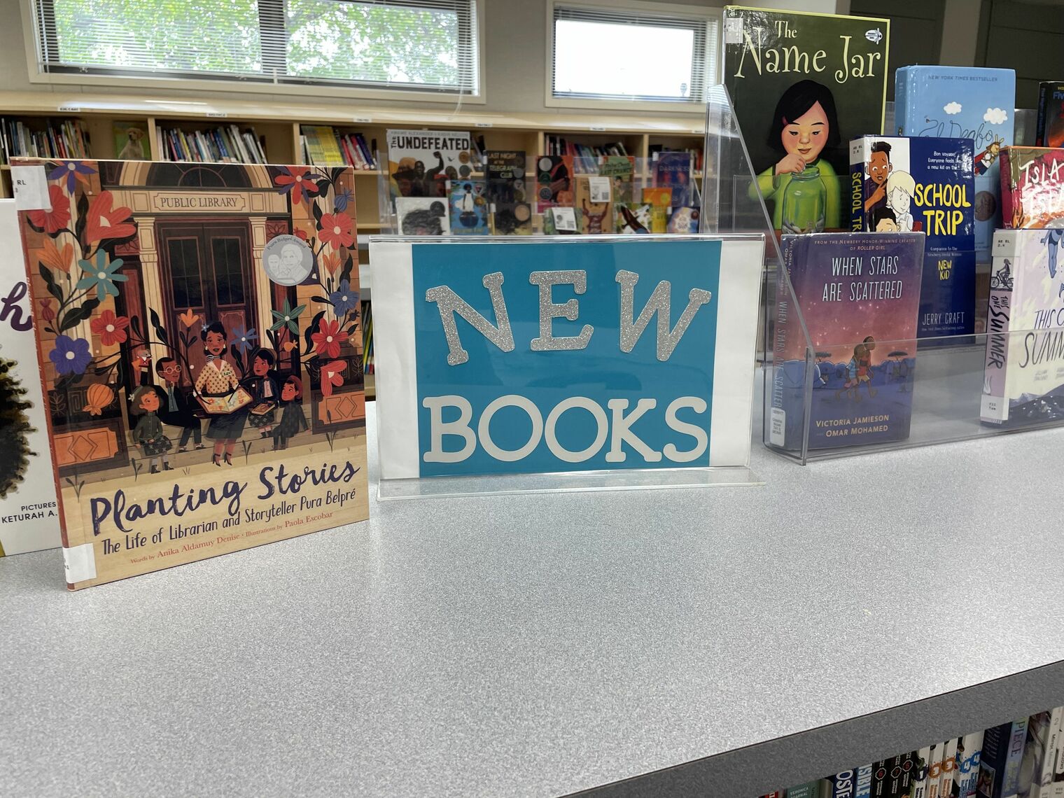 Library display of new books